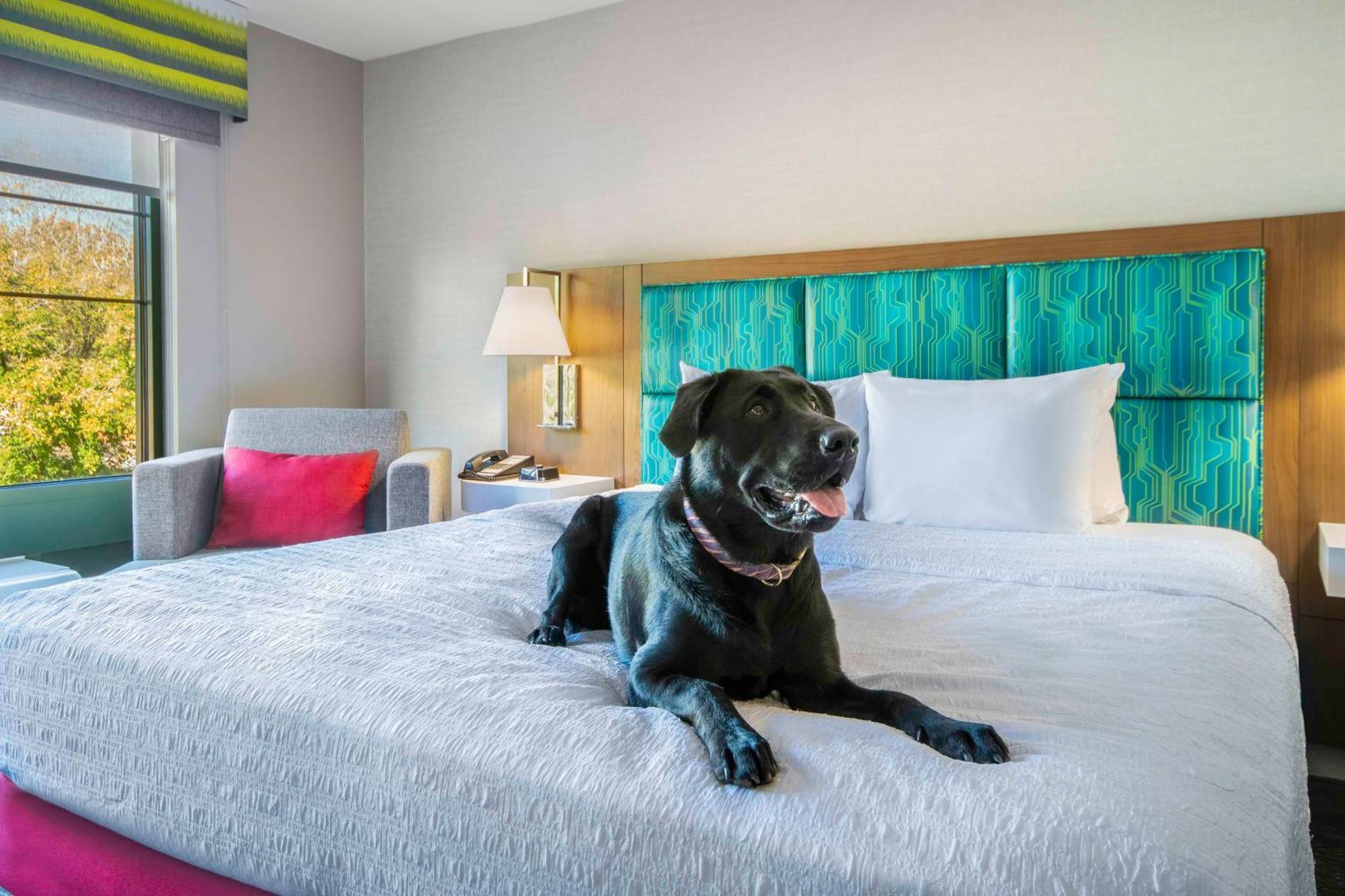 Hampton Inn East Aurora Bagian luar foto